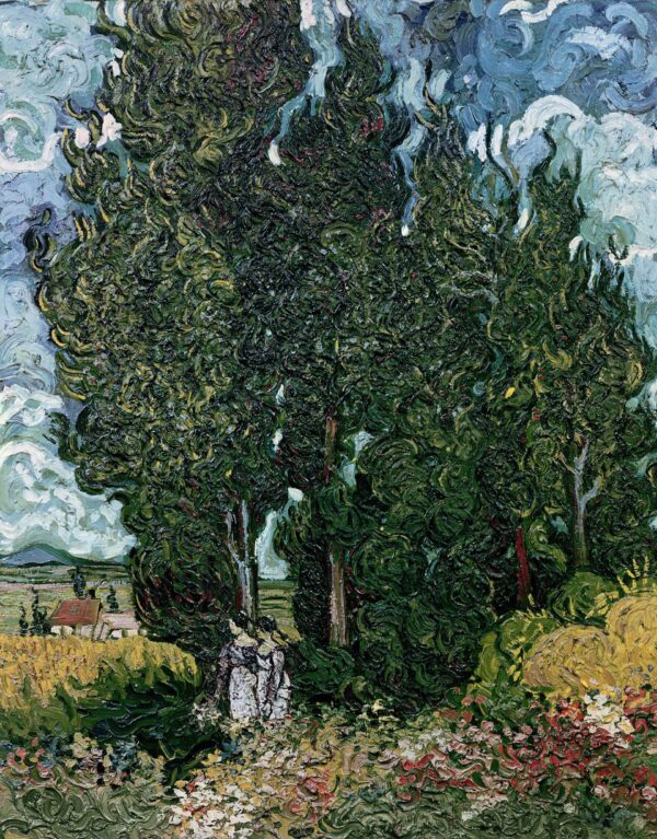 I cipressi – Van Gogh Vincent Van Gogh 2024-11-21