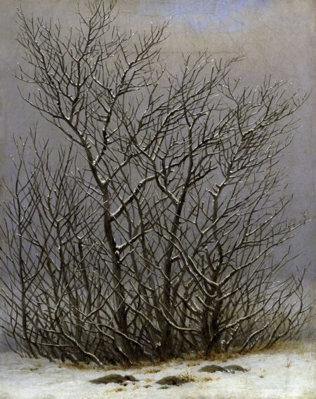 Alberi e arbusti sotto la neve – Caspar David Friedrich Caspar David Friedrich 2025-01-30