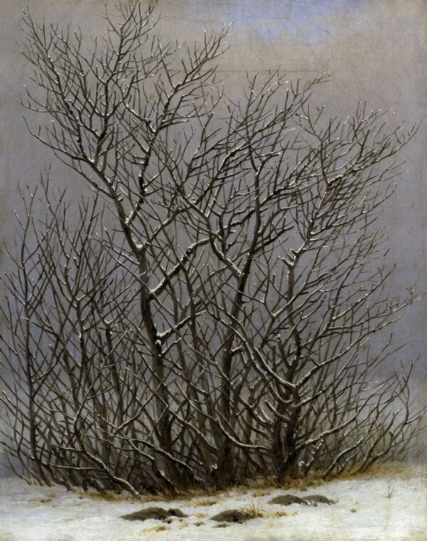 Alberi e arbusti sotto la neve – Caspar David Friedrich Caspar David Friedrich 2024-11-14