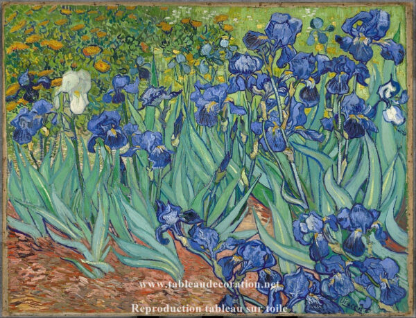 Gli Iris – Van Gogh Quadri Popolari 2024-11-21