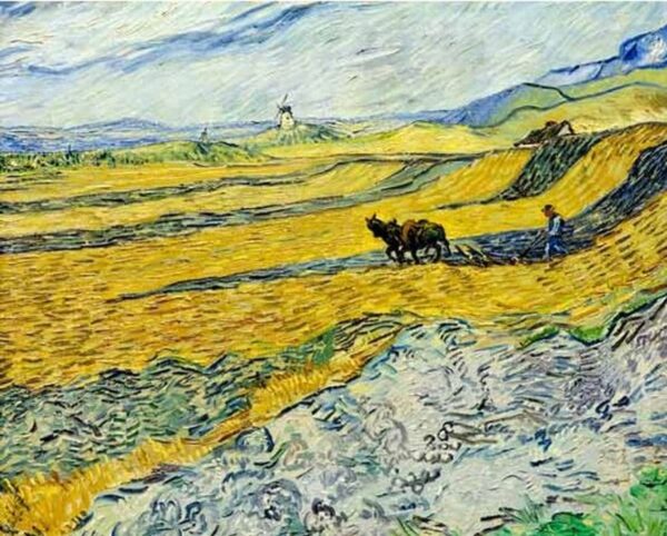 Campo con contadino che ara e il mulino – Van Gogh Vincent Van Gogh 2024-11-21