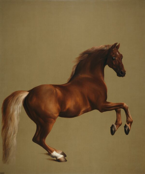 Whistlejacket – George Stubbs George Stubbs 2024-11-14