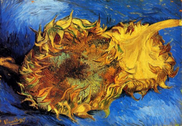 Due girasoli tagliati – Van Gogh I girasoli di Vincent van Gogh 2024-11-21