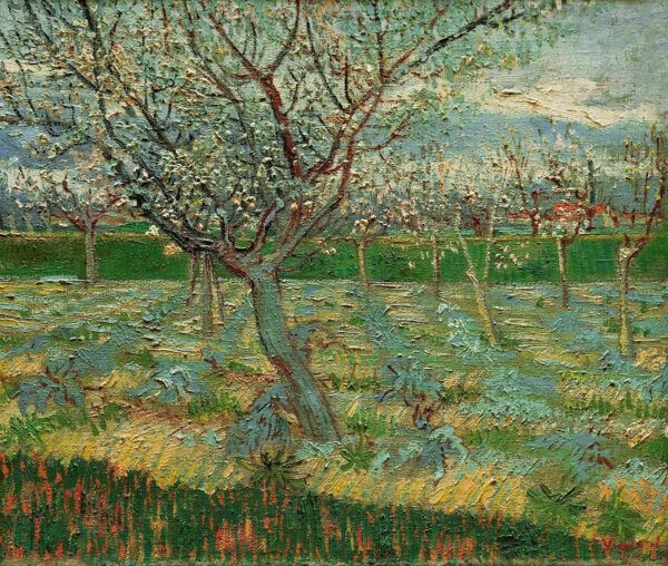 Frutteto in fiore – Van Gogh Vincent Van Gogh 2024-11-21