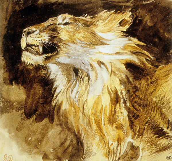 Lion rugissant – Eugène Delacroix Eugène Delacroix 2024-11-21