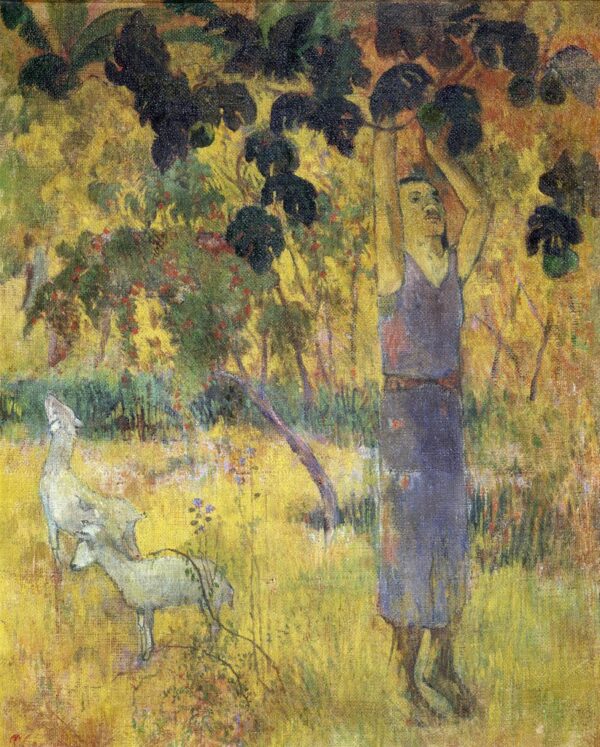 Uomo che raccoglie frutta da un albero – Paul Gauguin Paul Gauguin 2024-11-14