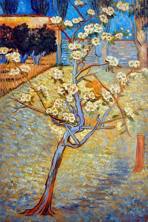 Albero di pero in fiore – Van Gogh Vincent Van Gogh 2024-11-21