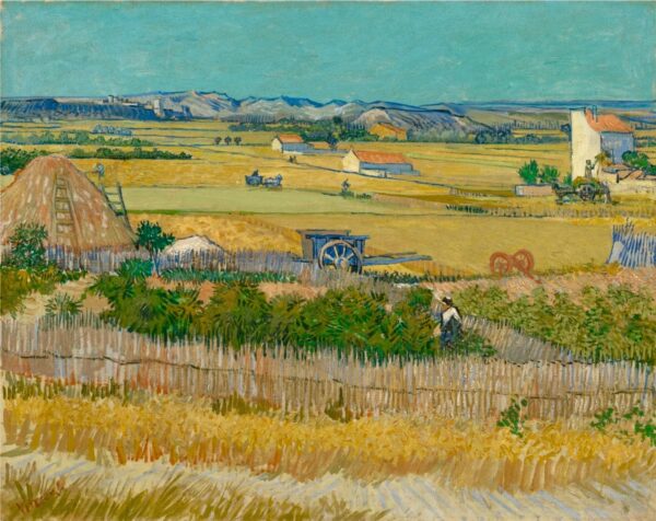 La Moisson – La Plaine de la Crau – Van Gogh Quadri Popolari 2024-11-21