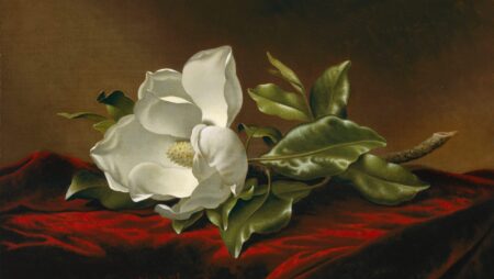 Magnolia Grandiflora – Martin Johnson Heade Martin Johnson Heade 2025-01-31