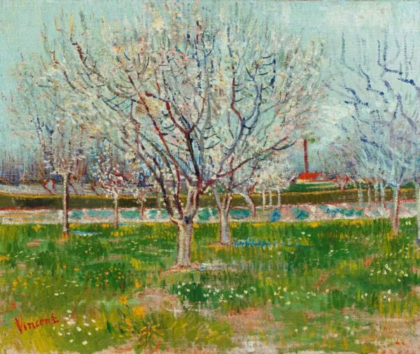 Giardino fruttifero in fiore – Van Gogh Vincent Van Gogh 2024-11-21