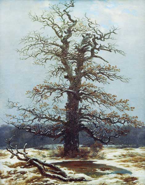 Quercia nella neve – Caspar David Friedrich Caspar David Friedrich 2025-01-28