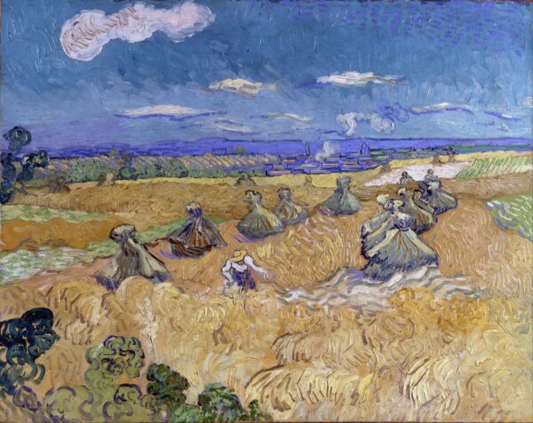 Champ de blé 1890 – Van Gogh Vincent Van Gogh 2024-11-21