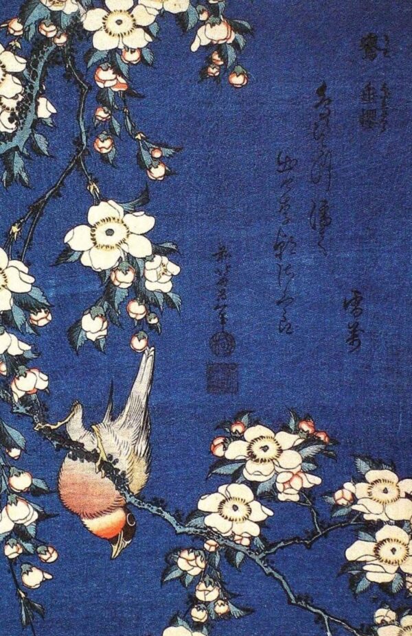 bouvreuil et fleurs de cerisier pleureur – Katsushika Hokusai Katsushika Hokusai 2024-11-14