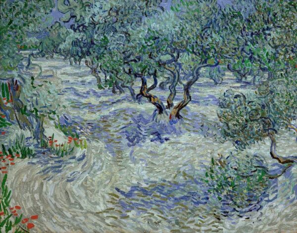 Olivenhain – Van Gogh Vincent Van Gogh 2024-11-21