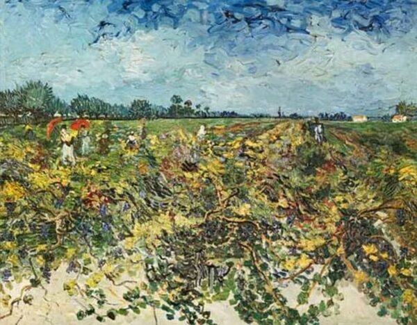 Le vignoble vert – Van Gogh Vincent Van Gogh 2024-11-09