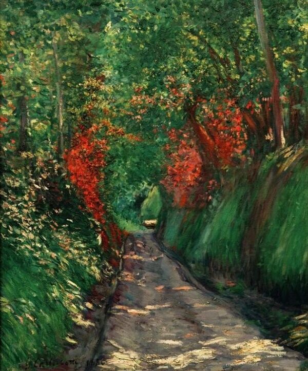 Viale nel bosco – Caillebotte Gustave Caillebotte 2025-01-30