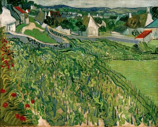 Vigneti di Auvers – Van Gogh Vincent Van Gogh 2024-11-21