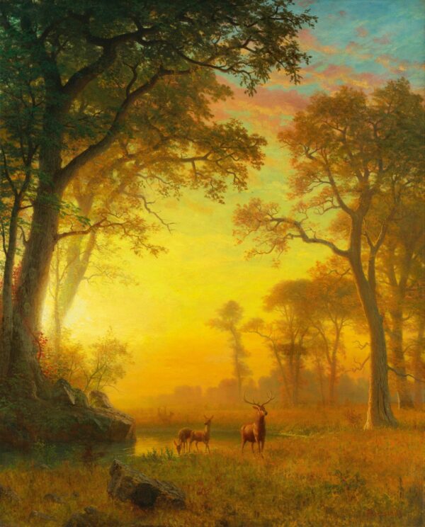 Luce nella foresta – Albert Bierstadt Albert Bierstadt 2024-11-14