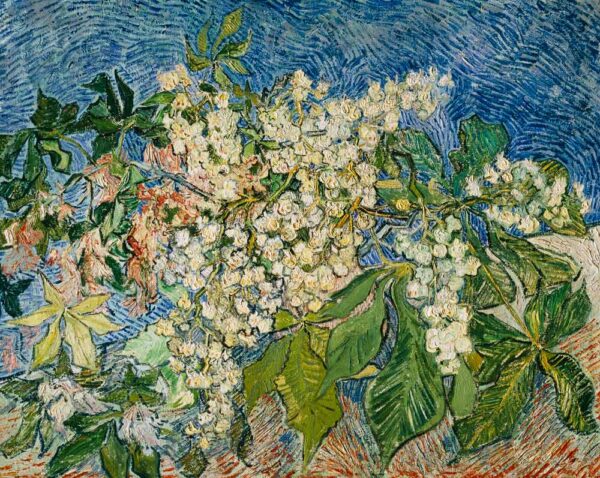 Rami di castagno in fiore – Van Gogh Vincent Van Gogh 2024-11-21