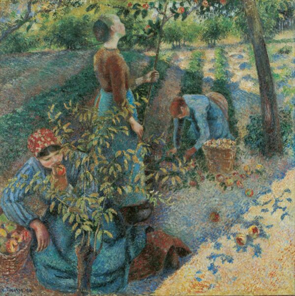 Raccolta delle mele – Camille Pissarro Camille Pissarro 2024-11-14