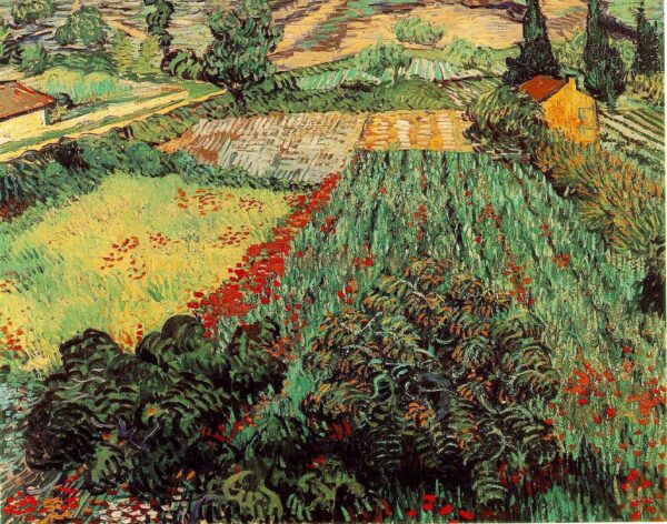 Campi di papaveri – Van Gogh Vincent Van Gogh 2024-11-21