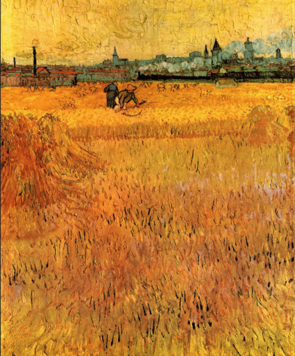 Champ de blé à Arles – Van Gogh Vincent Van Gogh 2024-11-21