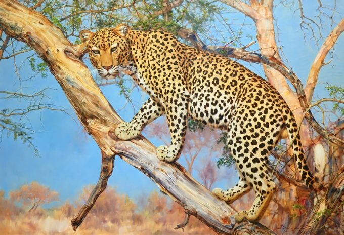 Leopardo su un albero – 160 x 110 cm La Galleria d'Arte 2024-09-19 2