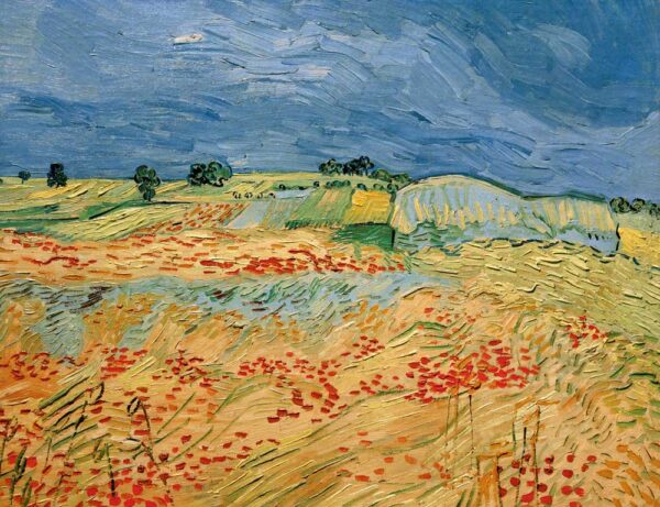 Campi di papaveri in fiore – Van Gogh Vincent Van Gogh 2024-11-21