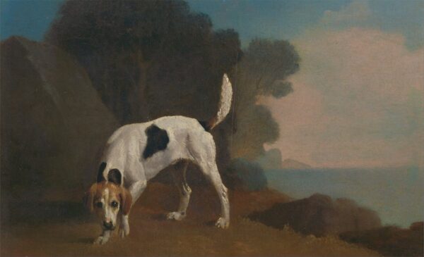 Foxhound – George Stubbs George Stubbs 2024-11-14