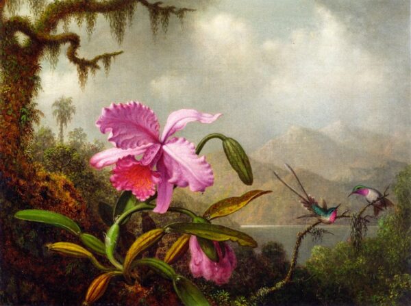 Orchidee e colibrì – Martin Johnson Heade Martin Johnson Heade 2024-11-21