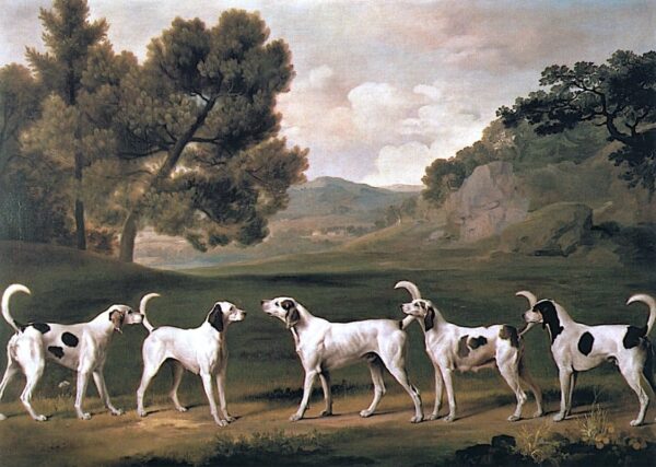 Foxhounds in un paesaggio, 1762 – George Stubbs George Stubbs 2024-11-14