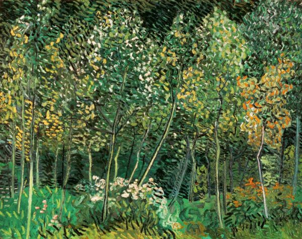 Piccola foresta – Van Gogh Vincent Van Gogh 2024-11-21