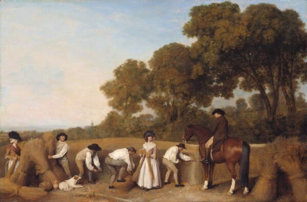 Raccolto – George Stubbs George Stubbs 2024-11-14