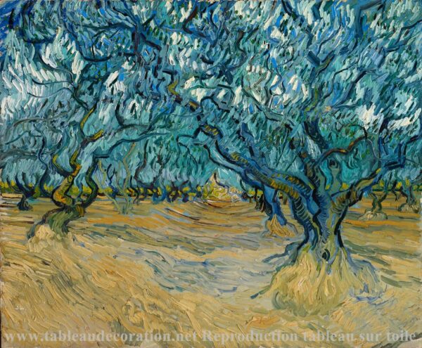 Le Champ d’oliviers – Van Gogh Vincent Van Gogh 2024-11-21