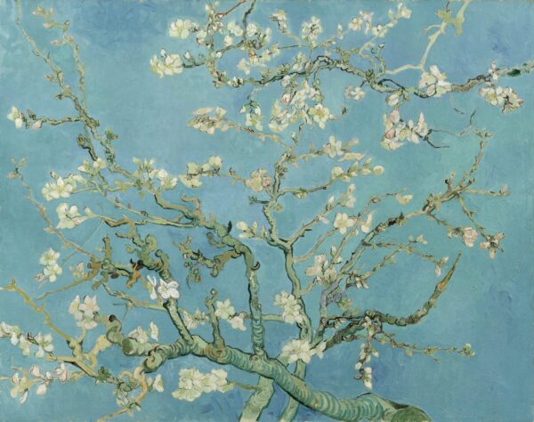 I mandorli in fiore – Van Gogh Quadri Popolari 2024-11-21