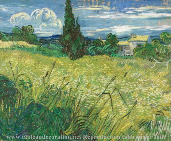 Il Campo di grano verde con cipressi – Van Gogh Quadri Popolari 2024-11-21