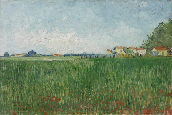 Campo di papaveri – Van Gogh Vincent Van Gogh 2024-11-21