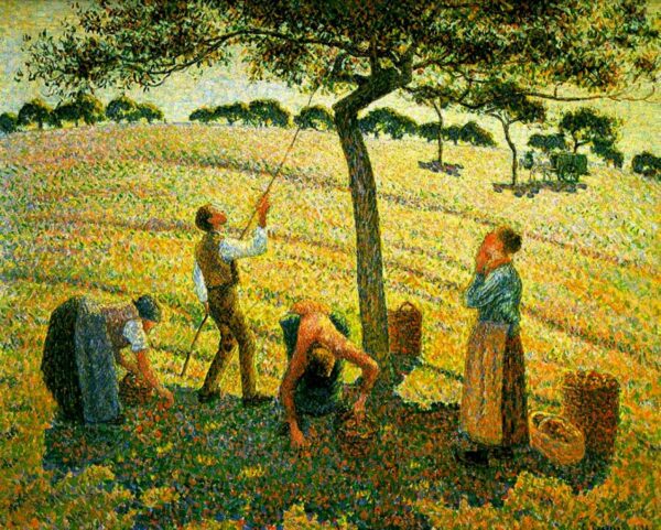 Raccolta delle mele a Eragny-sur-Epte – Camille Pissarro Camille Pissarro 2024-11-14