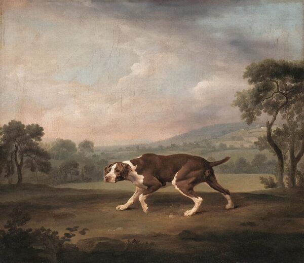 Puntatore spagnolo – George Stubbs George Stubbs 2024-11-14