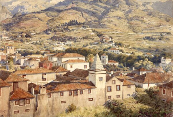 Funchal, sole del mattino – Edward Poynter Edward Poynter 2024-11-14