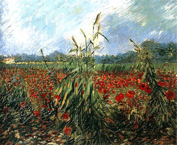 Spighe di grano verdi – Van Gogh Vincent Van Gogh 2024-11-21