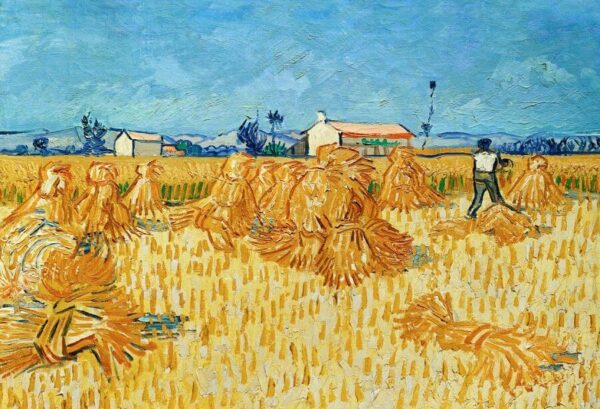 Raccolto in Provenza – Van Gogh Vincent Van Gogh 2024-11-21