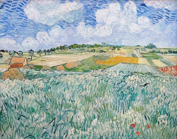 La pianura ad Auvers sur Oise – Van Gogh Vincent Van Gogh 2024-11-21