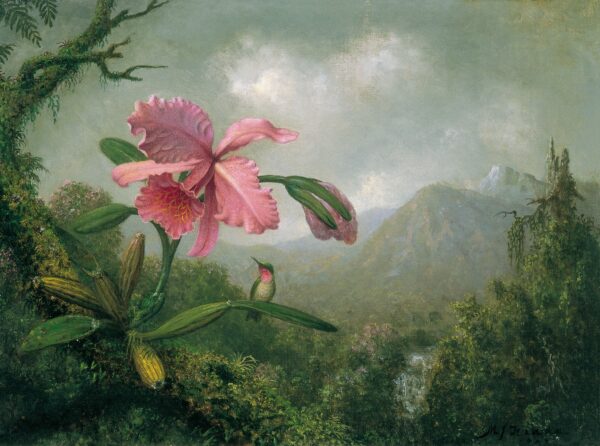 Orchidea e colibrì vicino a una cascata di montagna – Martin Johnson Heade Martin Johnson Heade 2024-11-21