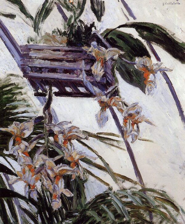 Orchidee – Caillebotte Gustave Caillebotte 2025-01-30