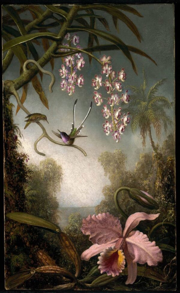 Orchidee e Orchidee Spray con Colibrì – Martin Johnson Heade Martin Johnson Heade 2024-11-21