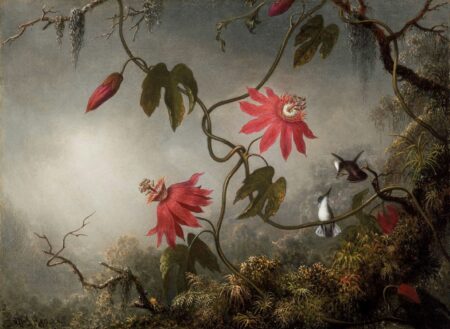 I fiori della passione con i colibrì – Martin Johnson Heade Martin Johnson Heade 2025-01-31