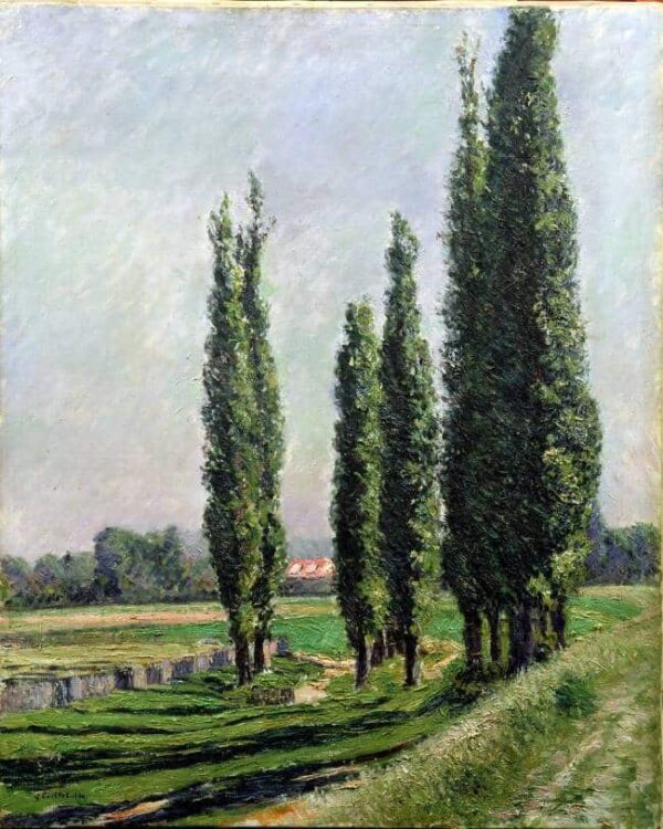 Pioppi lungo il fiume ad Argenteuil – Caillebotte Gustave Caillebotte 2025-01-30