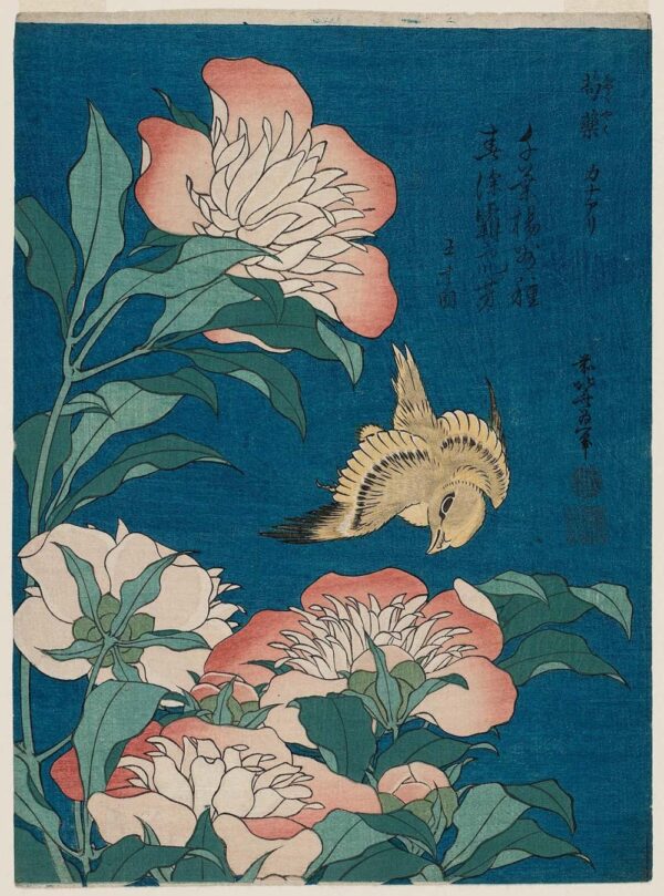 hokusai peonie e canarino (shakuyaku, kanaari), da una serie senza titolo conosciuta come “piccoli fiori” – Katsushika Hokusai Katsushika Hokusai 2024-11-14