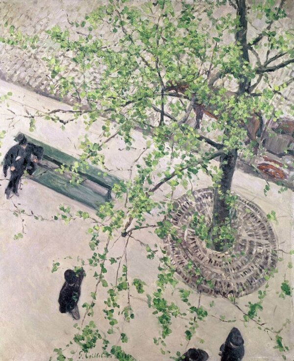 Gustave Caillebotte, boulevard visto dall’alto – Caillebotte Gustave Caillebotte 2025-01-29